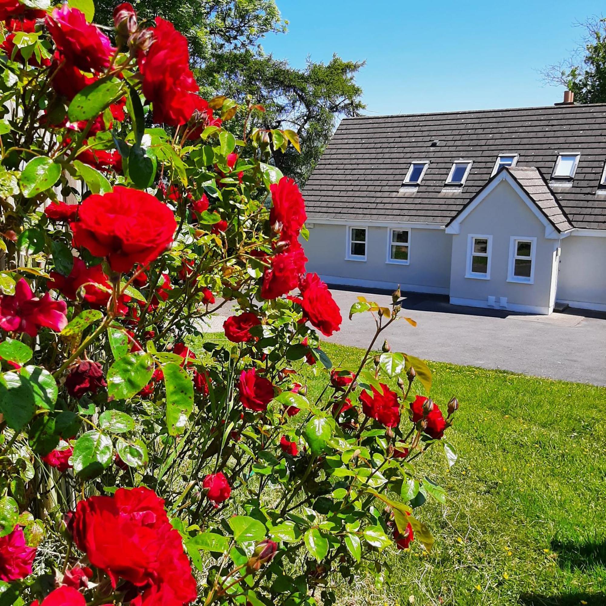 Abhainn Ri Cottages Blessington Exterior foto
